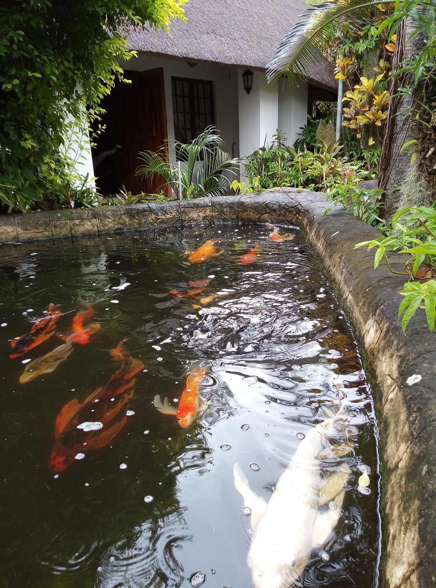 African Ambience Guest House Saint Lucia Estuary 외부 사진