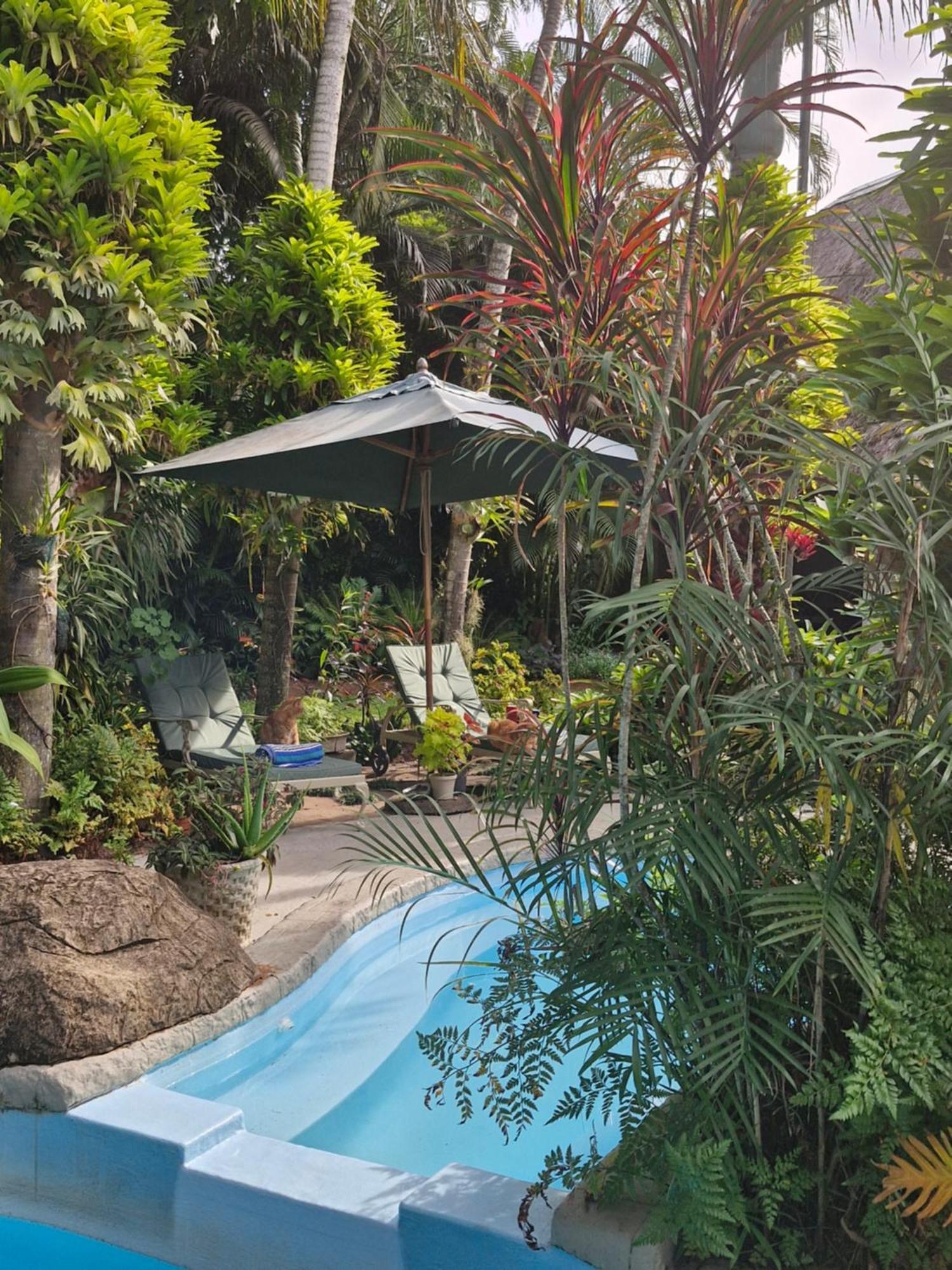 African Ambience Guest House Saint Lucia Estuary 외부 사진